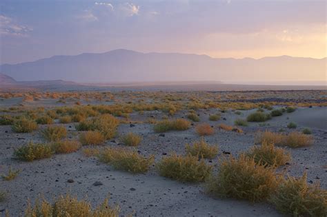 Eric Rosenwald Photography - Great Basin Desert, Near Pyramid Lake, Nevada....