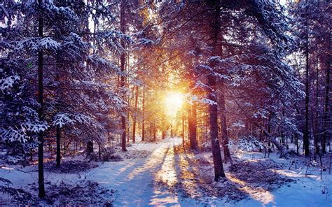 Beautiful Winter Wallpapers (60+ images)