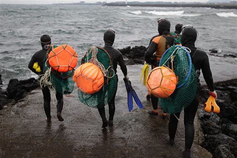 Profile: Haenyeo, amazing women divers of Jeju Island - Women of Fisheries