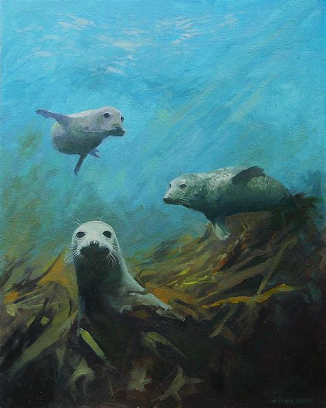 Grey Seals of the Scilly Islands - Gerry Miles Paintings