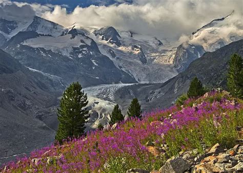 Piz Bernina climb via the Normal Route. 3-day trip. IFMGA guide