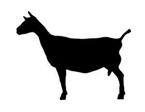 Image result for nubian milk goat silhouette goat Clipart | Goats, Goat ...