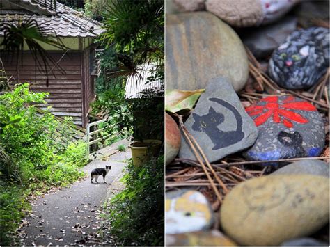 POSTCARDS FROM TASHIROJIMA - S Marks The Spots