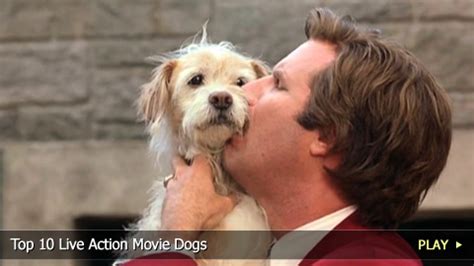 Top 10 Live Action Movie Dogs | Videos on WatchMojo.com