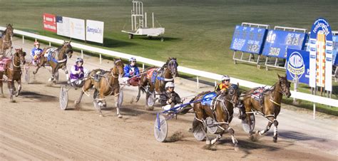 Mildura welcomes larger harness racing fields