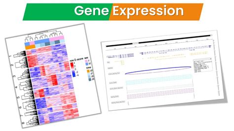 Gene Expression | Genomic Testing Cooperative