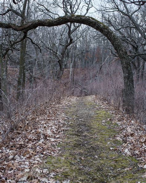 The Park Next Door - Stony Ridge Nature Trail