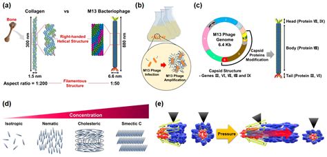 Piezo electric materials - hacfeed