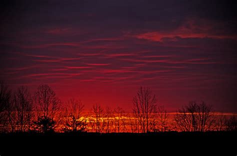 Sunrise in the trees - manual camera settings | Another shot… | Flickr