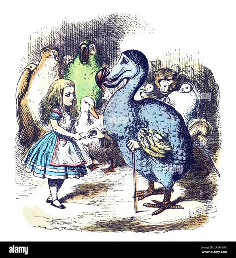 Alice and Dodo Alice in Wonderland colored Tenniel illustration Stock Photo - Alamy