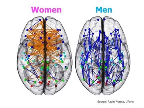 Computer Science in Education: Women and Men Brains - Microsoft ...