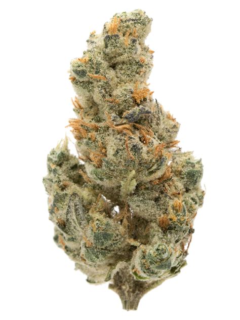 GMO Cookies (aka GMO, Garlic Cookies) Weed Strain Information | Weedmaps