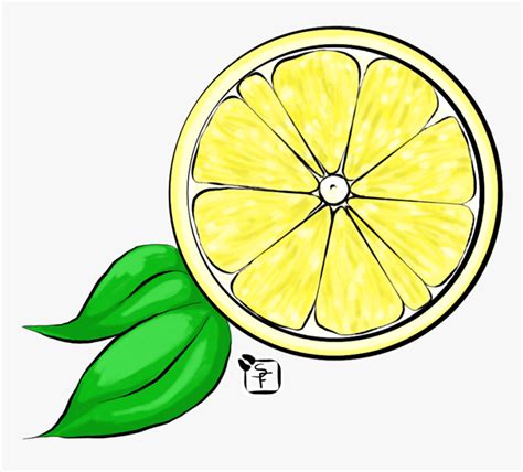 Transparent Lemon Slices Clipart - Lemon Drawing, HD Png Download - kindpng