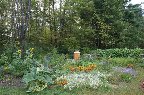 The Backyard Farming Connection: Planning a Bee Garden