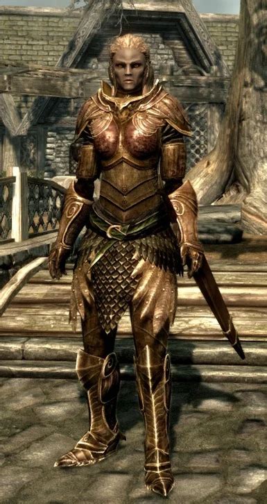 Wood Elf Armor at Skyrim Nexus - Mods and Community