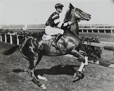 Horse Racing in Wales: A History of Enthusiasm - News from Wales