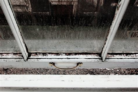 How to Stop Condensation on Windows in Winter » Toucan Property Mainenance