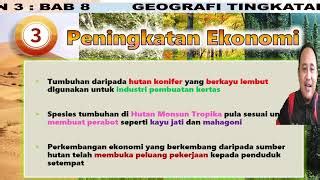 Kepentingan Hutan Konifer Kepada Manusia : Kepentingan Hutan Ciri Dan ...