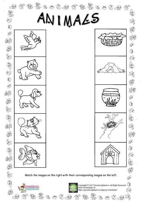 kindergarten worksheets evs worksheet for study - kindergarten ...