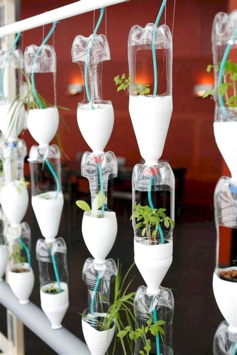 65 Best Vegetable & Hydroponic Garden Ideas And Decoration | Bottle garden, Hydroponics, Garden ...