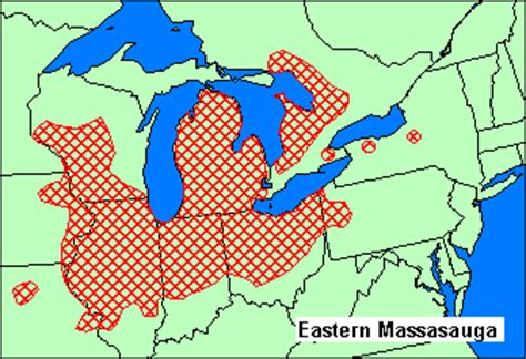 Eastern Massasauga - NYS Dept. of Environmental Conservation