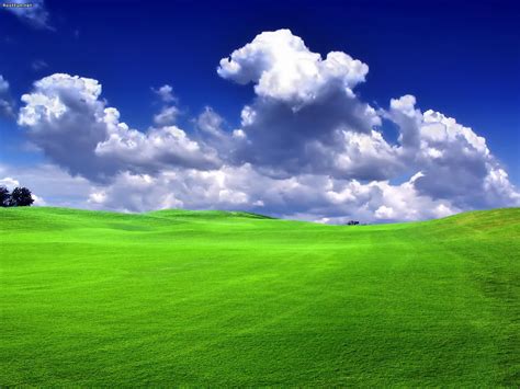 Green Landscape wallpaper | 1600x1200 | #53364