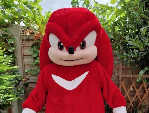 Knuckles Mascot Costume | ubicaciondepersonas.cdmx.gob.mx