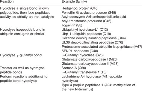 Some peptidases have activities that stretch the usual definitions of ...