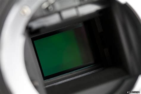 24MP sensors on Nikon DX bodies: An in-depth comparison - Nikon Rumors ...