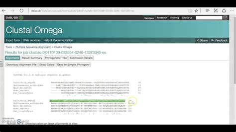 Exercise 3 Clustal Omega - YouTube