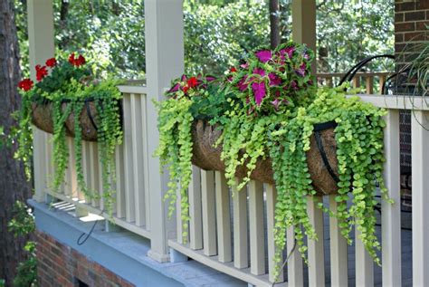 Railing Planter Hangers - Garden Plant