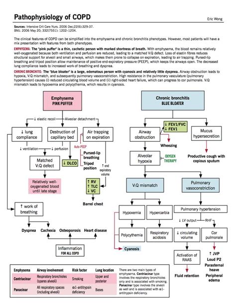 COPD pathophysiology: emphysema (pink puffer), chronic bronchitis (blue ...