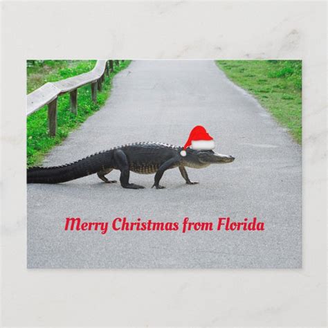 Merry Christmas from Florida funny alligator Postcard | Zazzle.com