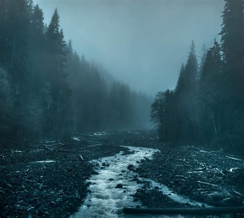 Breathtaking Moody And Mysterious Forest Photography By Dylan Furst | Forest photography ...