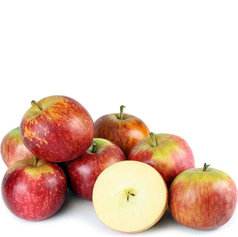 Fuji Apples - American Market