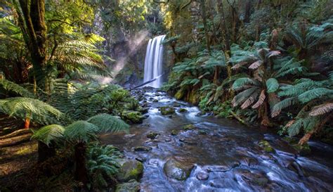 daintree rainforest waterfalls best waterfall 2017 | Cool places to visit, Waterfall, Visit ...