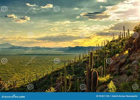 Sunset View of Sonoran Desert from Tucson Mountain Park, Tucson AZ Stock Photo - Image of west ...