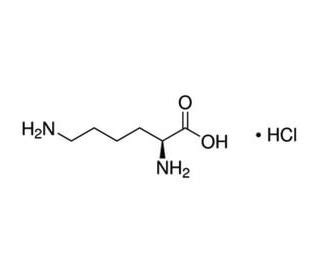 L-Lysine hydrochloride | CAS 657-27-2 | SCBT - Santa Cruz Biotechnology