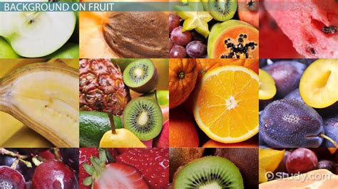 Types of Fruit: True, False & Parthenocarpic - Video & Lesson ...