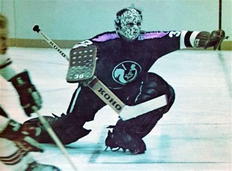 Gerry Cheevers - Cleveland Crusaders | Hockey goalie, Nhl hockey ...