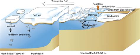 Figure B9.2.1 Polynya formation and "ice factories" along the Siberian... | Download Scientific ...