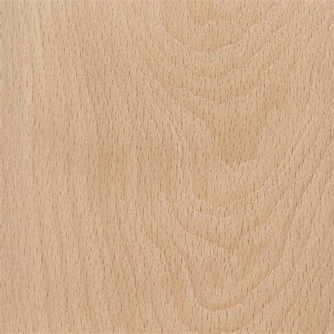 American Beech | The Wood Database - Lumber Identification (Hardwood)