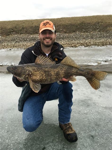 Ice Fisherman Catches Rare (And Huge) Saugeye! | Cool fish, Freshwater fishing, Fishing girls