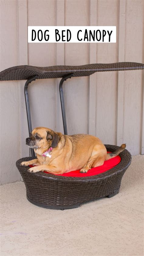 Dog Bed Canopy : An immersive guide by Porch Potty