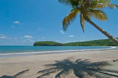 la-sagesse-beach - Just Grenada.co.uk : Just Grenada.co.uk