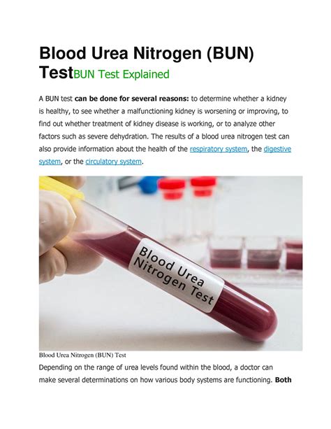 Blood Urea Nitrogen (BUN) Test And Ranges Biology, 46% OFF