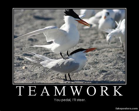 Puzzle Quotes Pertaining To Teamwork. QuotesGram