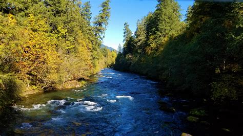 McKenzie River, Oregon | River, Outdoor, Water