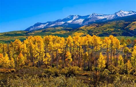 Best Rocky Mountain Hikes for Fall Foliage