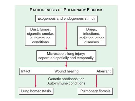 Pulmonary fibrosis